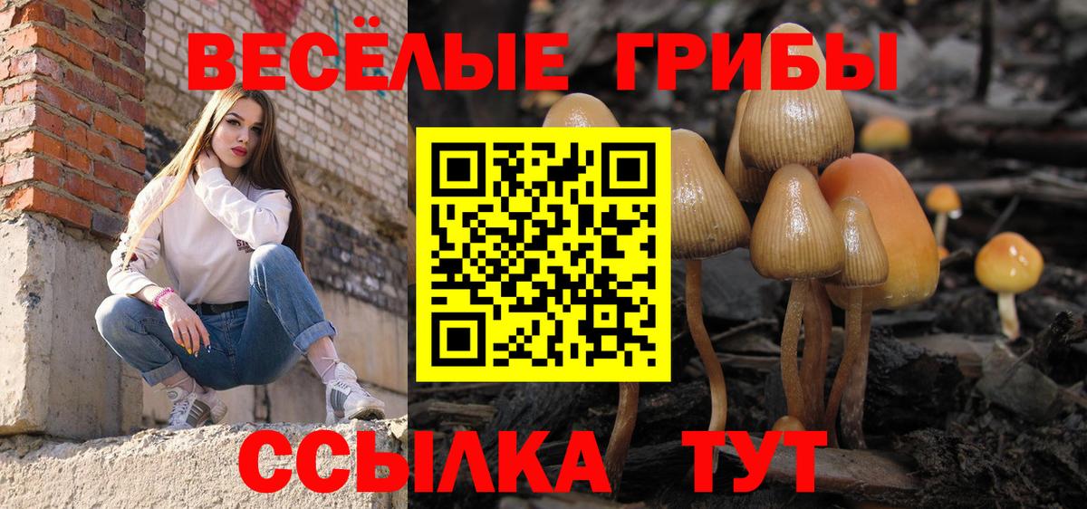 COCAIN Ревда